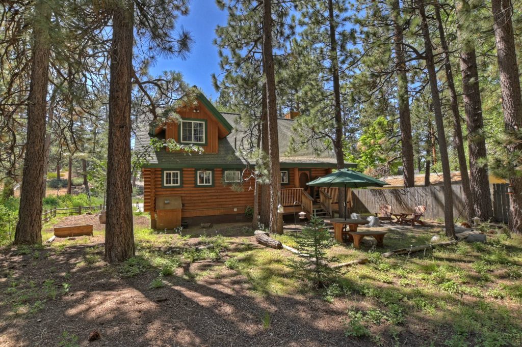 Rustic Teddy Bear Lodge cabin surrounded by pine trees with outdoor seating and a peaceful forest setting