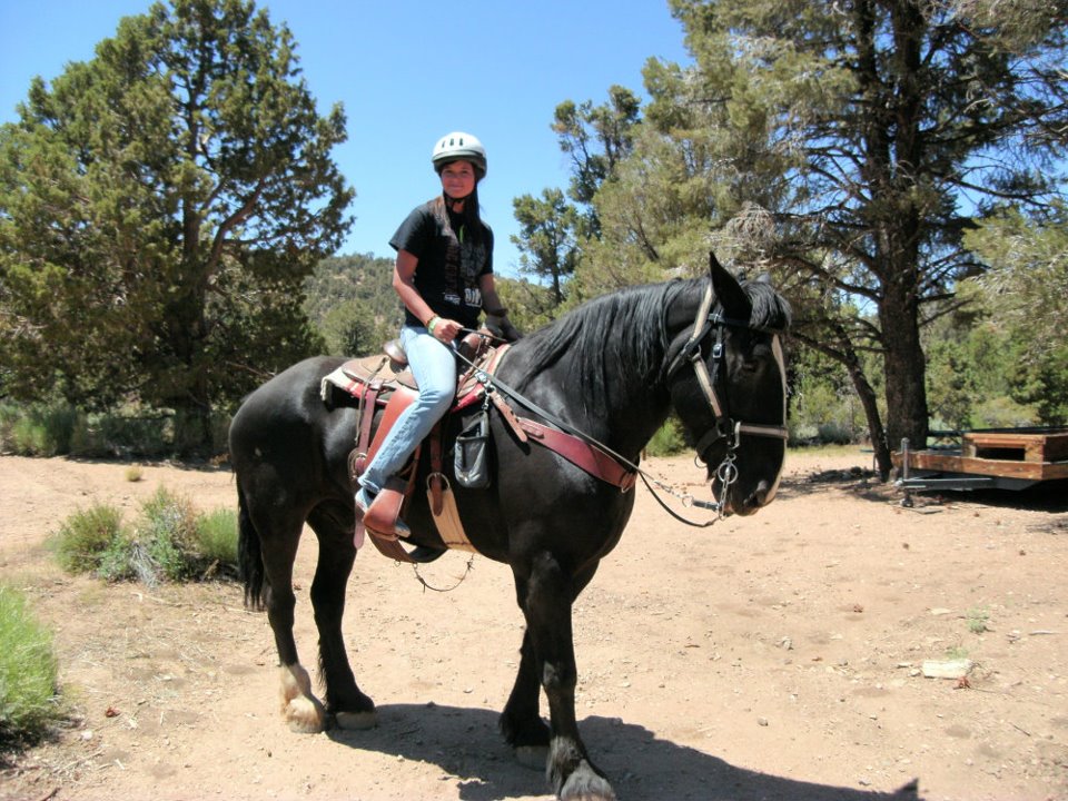 Big Bear Horse riding