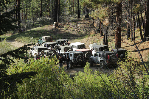 jeep tours in big bear