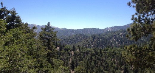 Ziplining in Big Bear