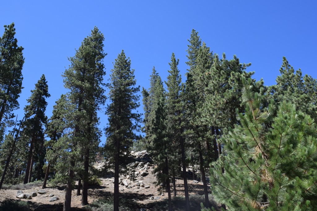 Hiking Big Bear Lake