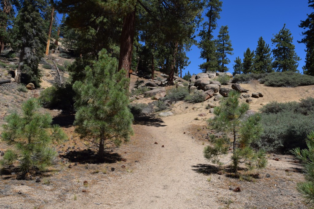 Grays Peak Hiking Trail