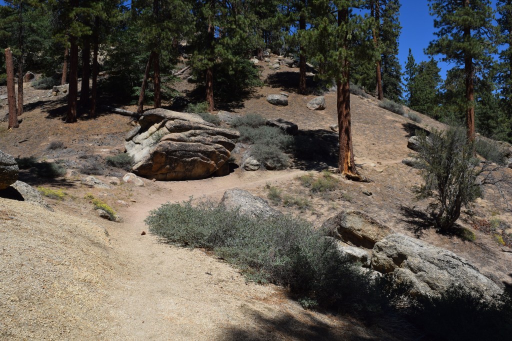 Hiking in Big Bear