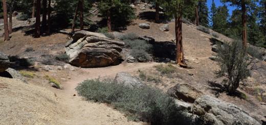 Hiking in Big Bear