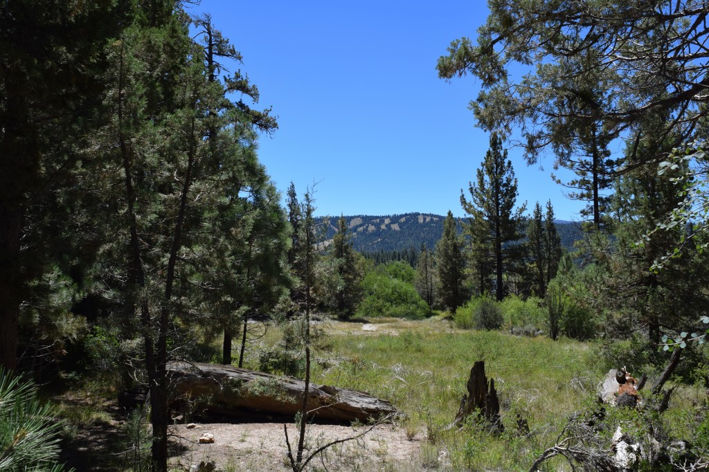 Big Bear Hiking Trail