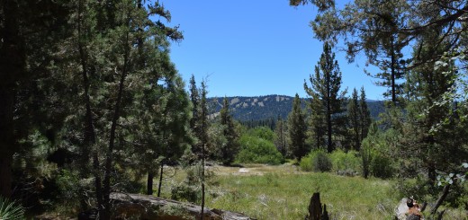 Big Bear Hiking Trail