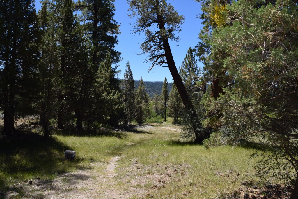 Hike Big Bear Lake