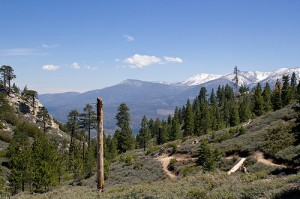Hiking in Big Bear