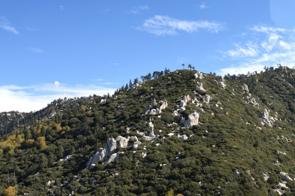 Big Bear Mountain views