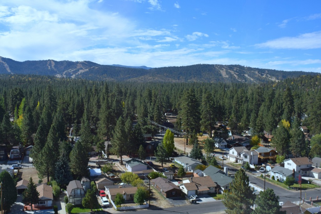 helicopter flight houses