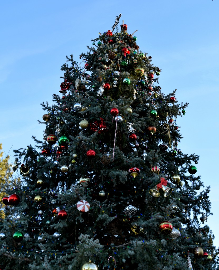 Christmas Tree in Big Bear Lake Village