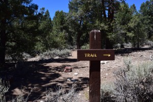 Hiking in Big Bear Lake