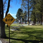 Meadow Park in Big Bear Lake