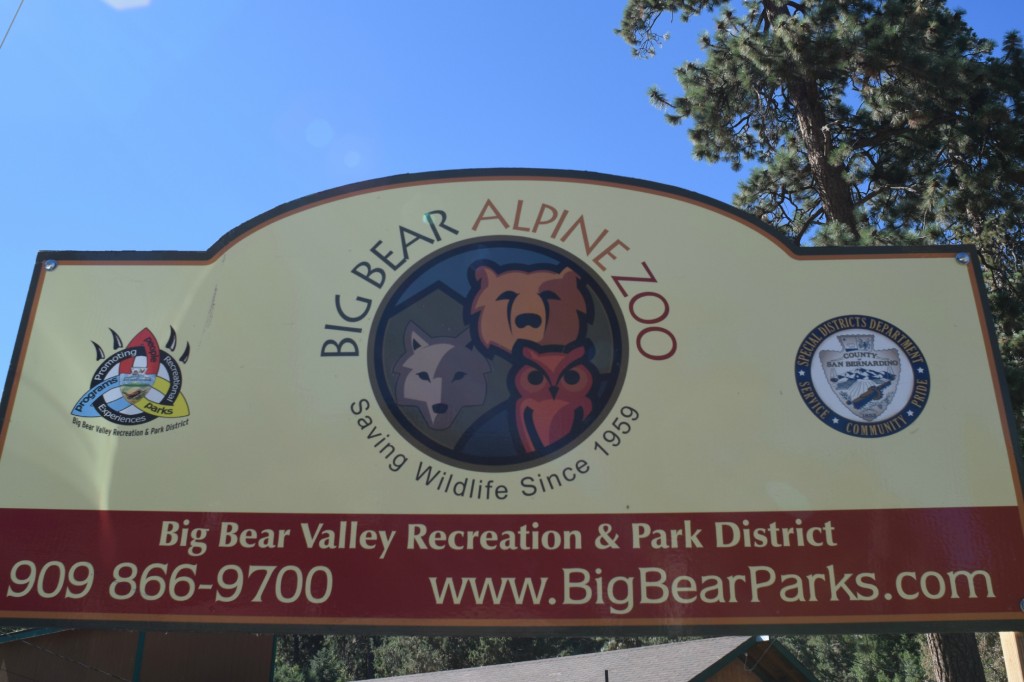Big Bear Alpine Zoo featuring a bear, wolf, and owl logo, with contact information for the Big Bear Valley Recreation & Park District.