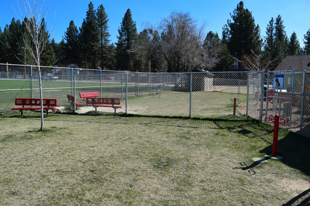 Dog Park in Big Bear Lake