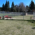 Dog Park- Bark Park