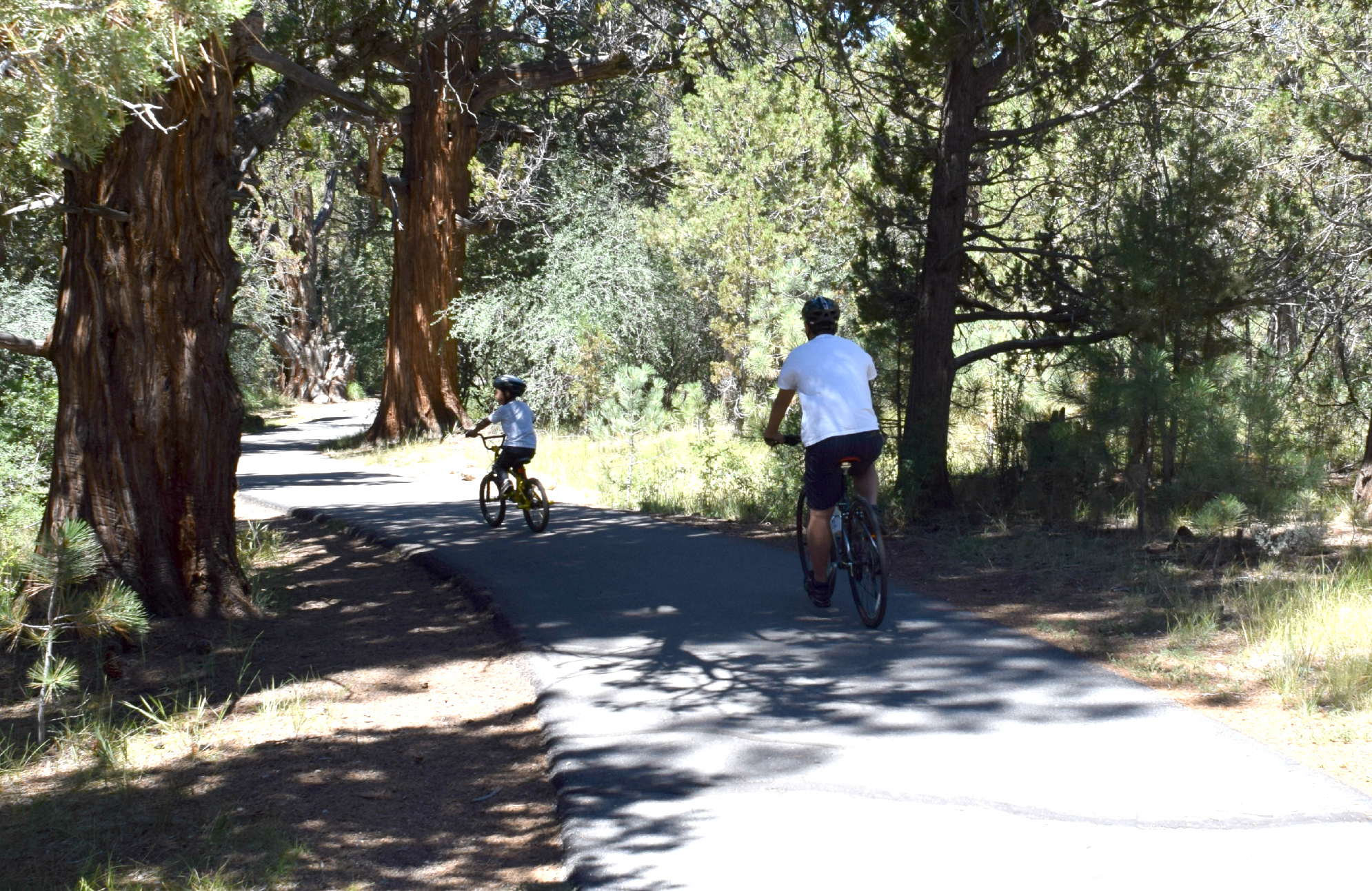 big bear bike trails