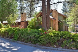 Big Bear Dog-Friendly Cabins 