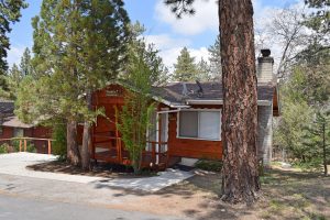 Oak Tree Retreat