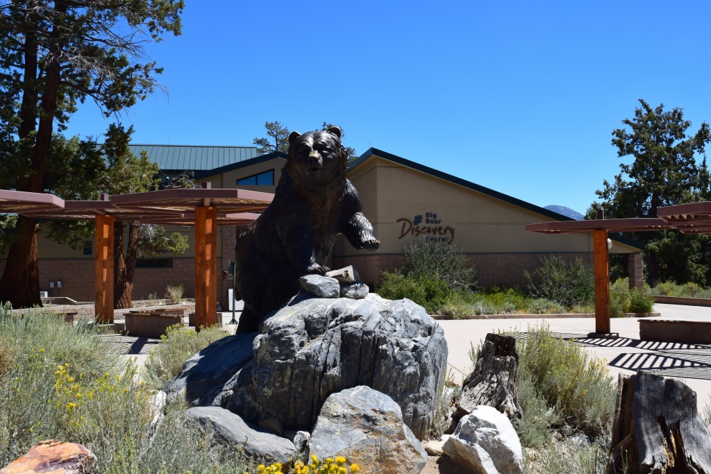 A bronze bear statue stands prominently on a large rock under clear blue skies. The Discovery Center building is visible in the background amidst trees and foliage.