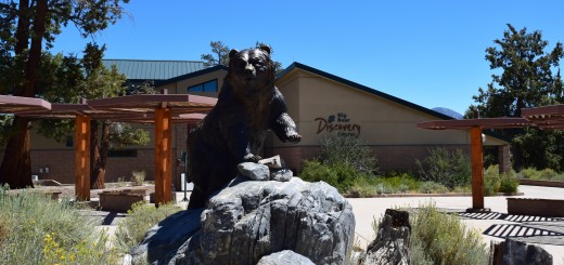 A bronze bear statue stands prominently on a large rock under clear blue skies. The Discovery Center building is visible in the background amidst trees and foliage.