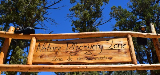 Discovery Zone in Big Bear Lake