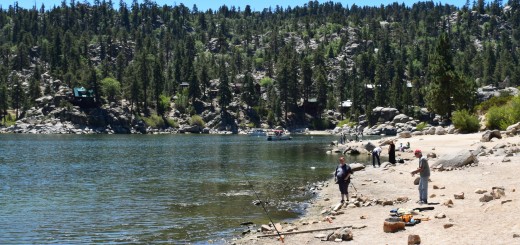 Rent a Cabin on the North Shore