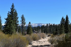 Getaway on the north shore of Big Bear Lake