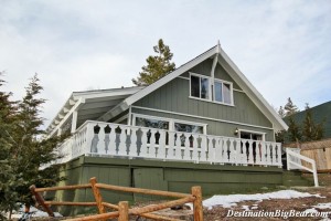 Big Bear Dog-Friendly Cabins 