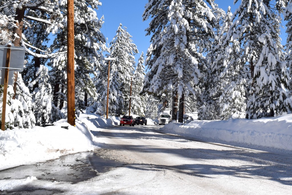 Snowy road lined with snow-covered trees in Big Bear Lake, creating a serene winter landscape.