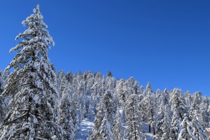 Big Bear Lake winter weather - Big Bear Lake CA