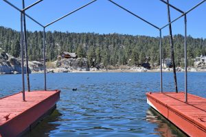 Boulder Birdhouse in Big Bear Lake