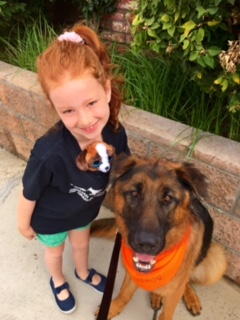 German Shepherd Rescue Adoption