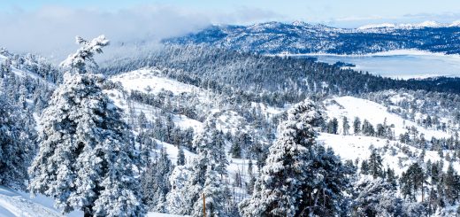 Snow Summit Live Picture