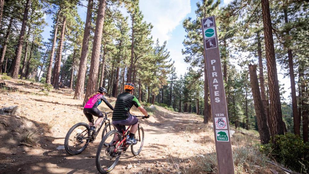 Two bikers ride up a forest trail at Big Bear.
