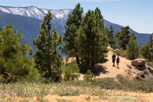 Hiking & Biking in Big Bear