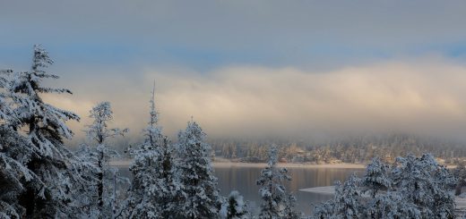 Big Bear Lake surrounded by snow-covered trees, creating a serene winter landscape.