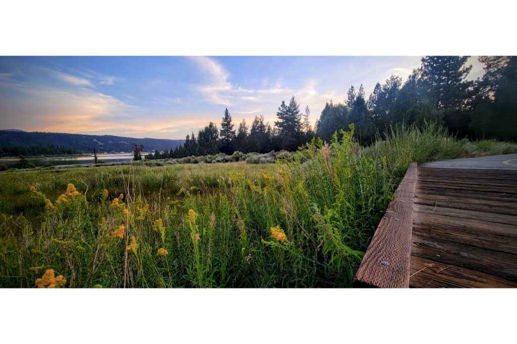 A beautiful boardwalk extends through a field of tall grasses and wildflowers, with a lake and mountains in the distance at Big Bear.