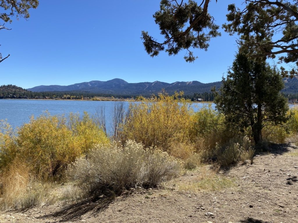 Scenic view from Juniper Point Picnic Area featuring Big Bear Lake, mountain landscapes, and native vegetation along the shoreline.
