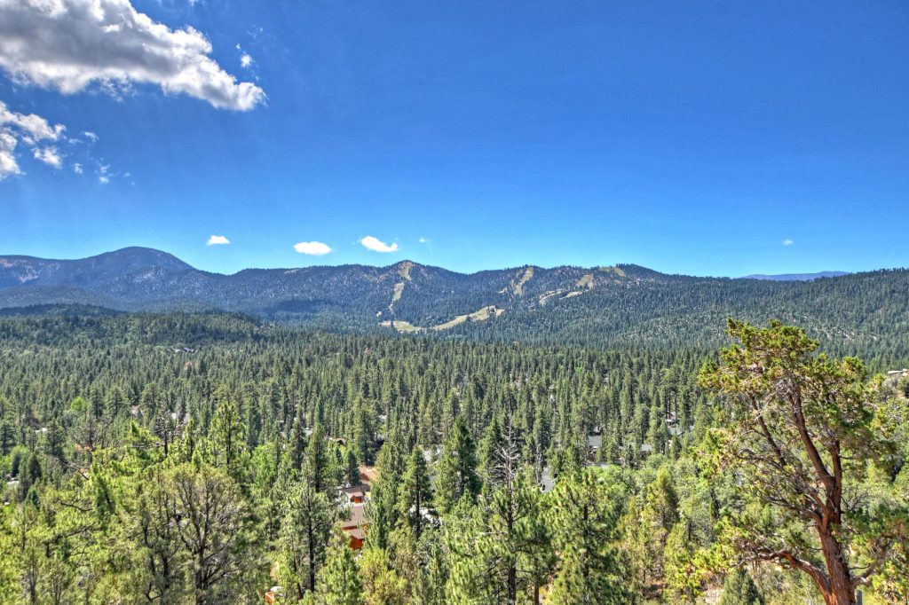 A beautiful panoramic view shows vast green forests stretching towards mountains under a clear blue sky at Big Bear.