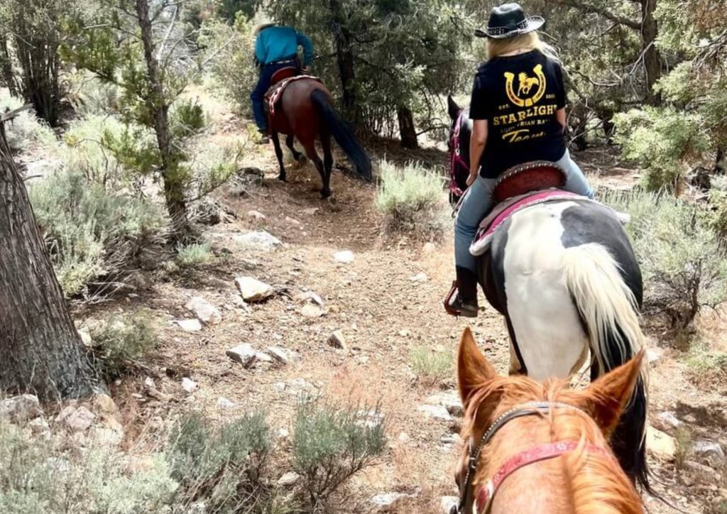 Guests riding horses along a scenic forest trail near Big Bear.