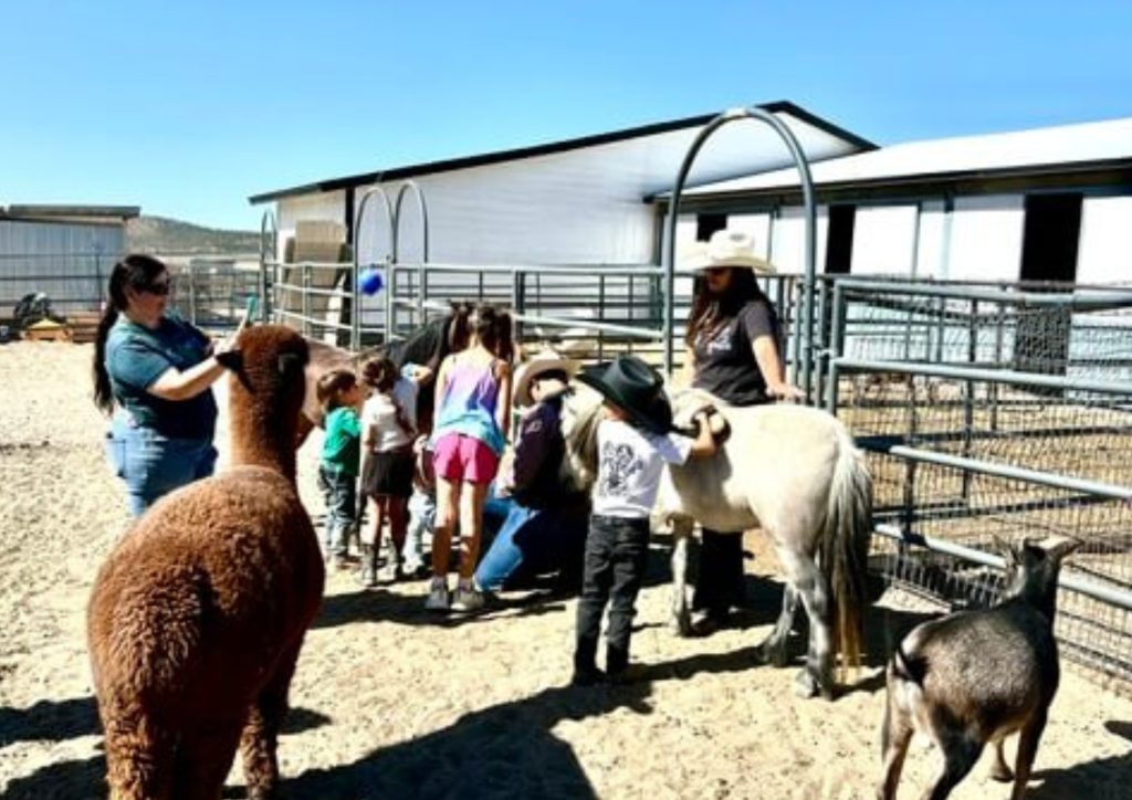 Families and children interacting with animals in the Starlight Equestrian Ranch petting zoo.