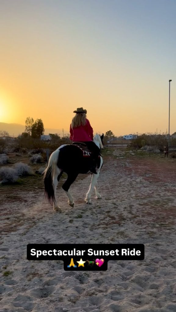 Rider on a black and white horse enjoying a sunset trail ride along a sandy path with warm evening skies and desert scenery.