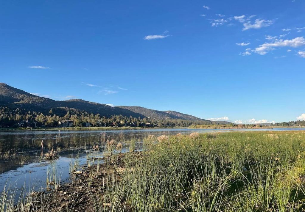 Scenic view of Big Bear Lake featuring marsh grasses along the shoreline with mountain landscapes and a clear blue sky.