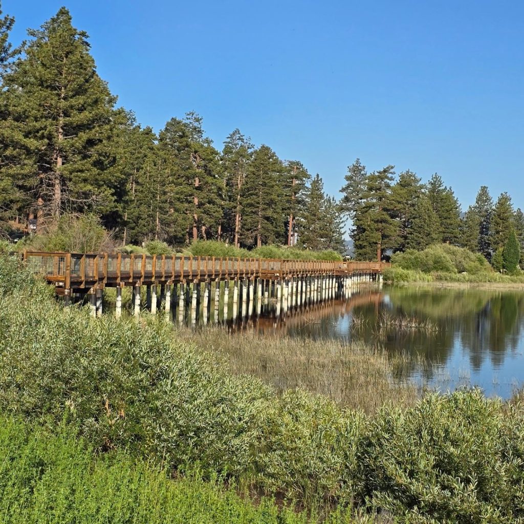 Wooden boardwalk crossing the marsh at Stanfield Marsh Boardwalk, surrounded by pine trees and calm wetland waters.