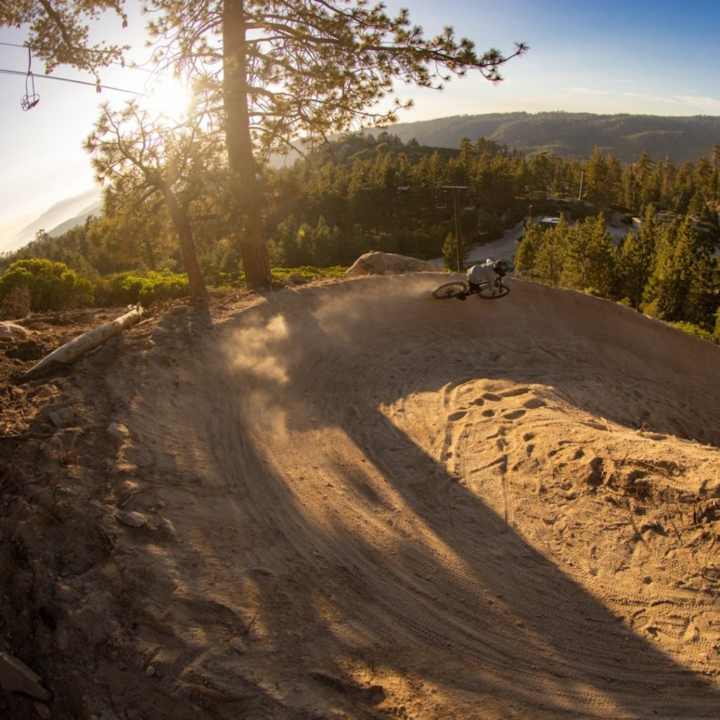 Mountain biker riding on a dirt trail surrounded by pine trees and scenic mountain views at sunset.