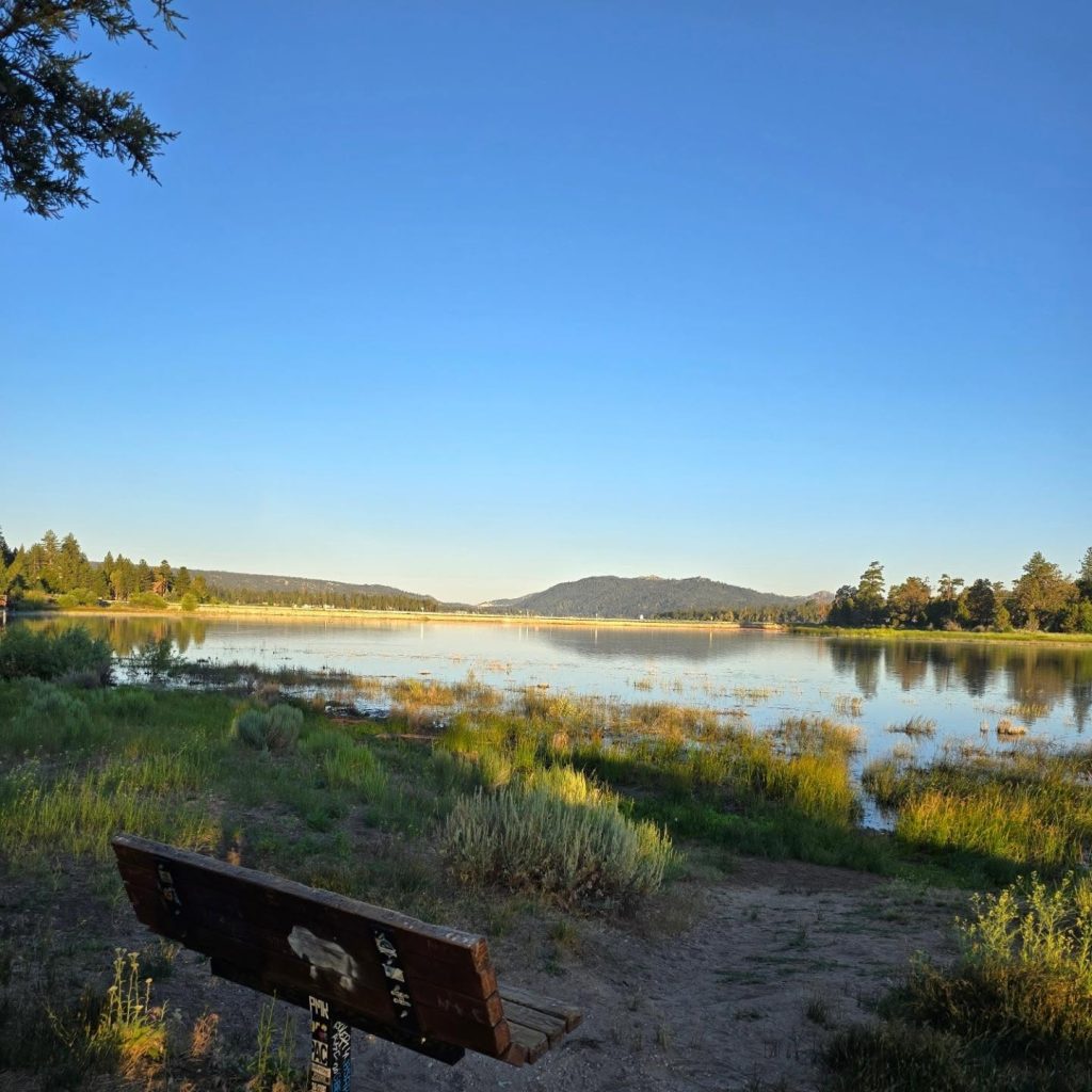 Bench overlooking the peaceful wetlands and lake views at Stanfield Marsh Boardwalk during golden hour.