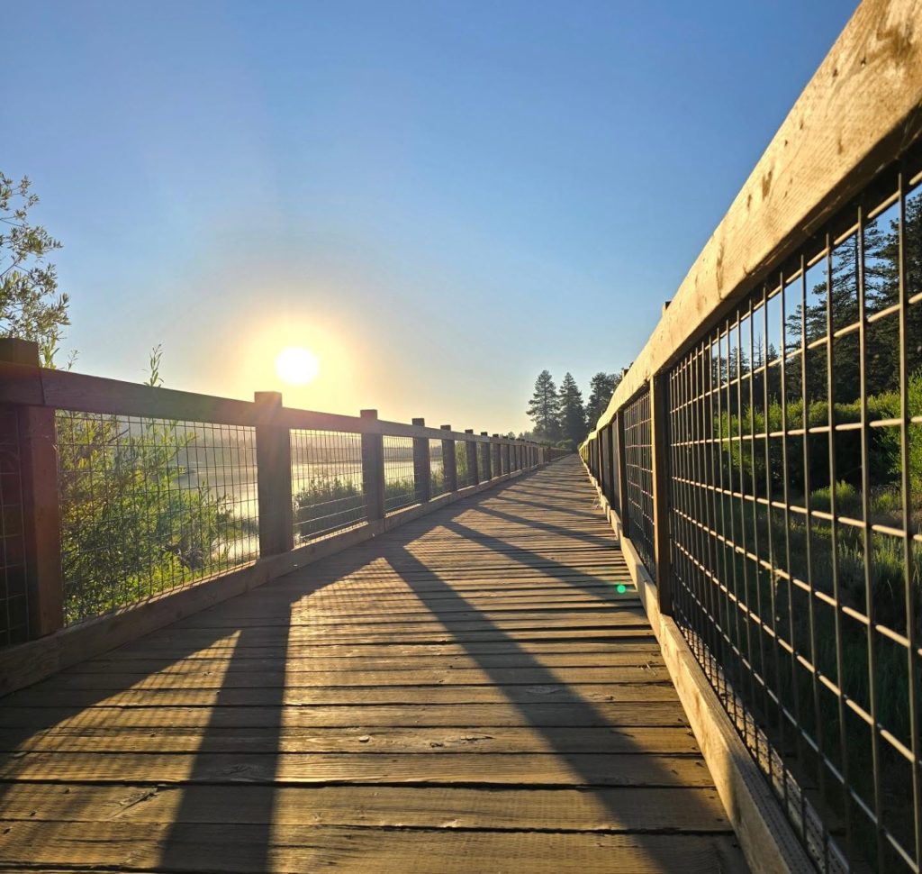 Sunrise view along the wooden Stanfield Marsh Boardwalk with long shadows stretching across the pathway.