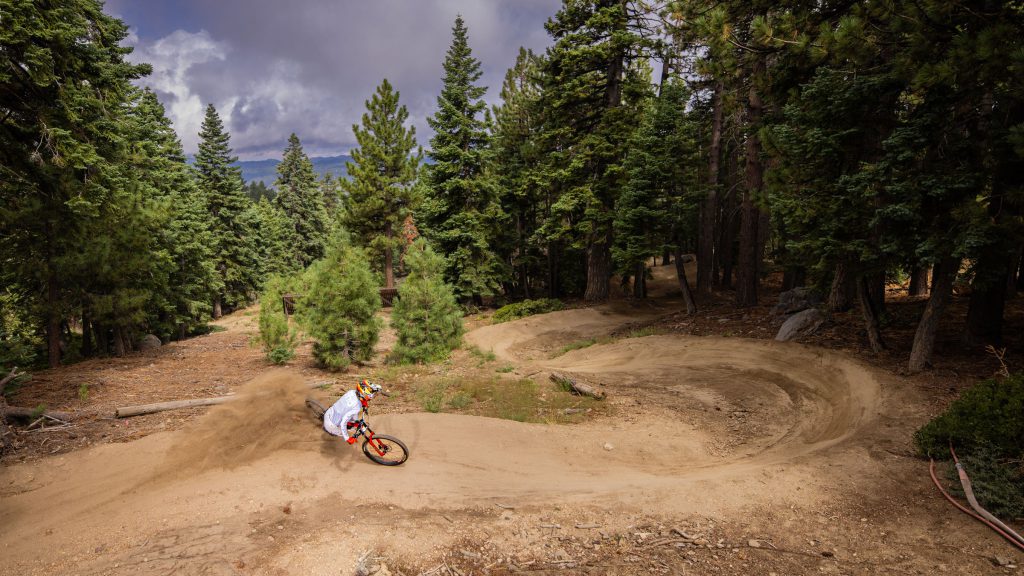 A mountain biker rides through winding forest trails at Big Bear.