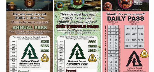 Adventure Passes